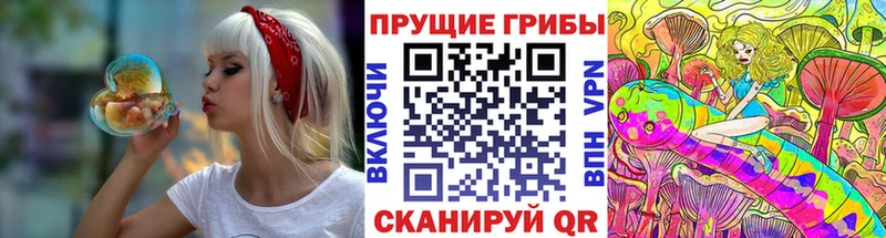 Галлюциногенные грибы Psilocybe  даркнет сайт  hydra tor  Фурманов 